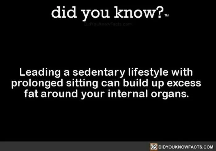 “Did You Know?”: 50 Random Facts About Our World To Let You Learn Something New Today