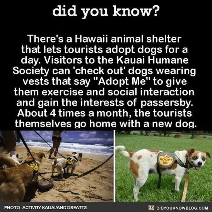 “Did You Know?”: 50 Random Facts About Our World To Let You Learn Something New Today