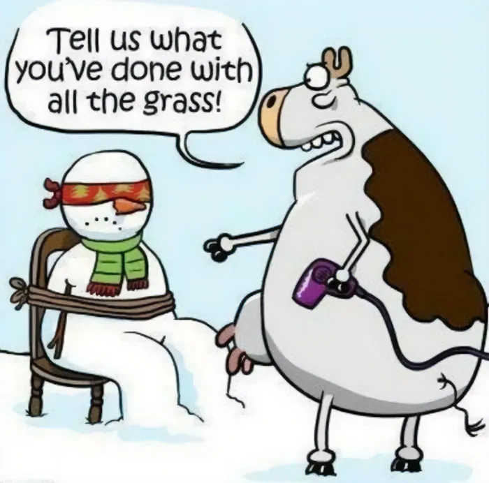 50 Ridiculously-Good Christmas Memes To Get You In A Great Festive Mood (New Pics)