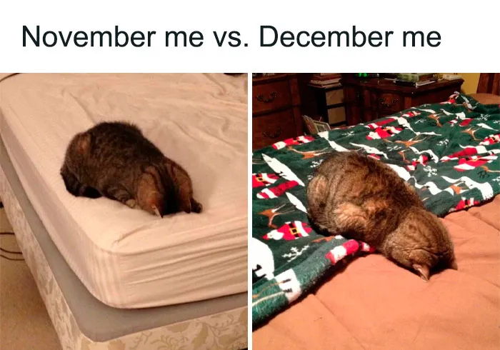 50 Ridiculously-Good Christmas Memes To Get You In A Great Festive Mood (New Pics)