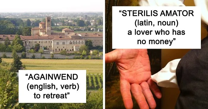 People Are Amused By These 23 Very Medieval Words That Either Sound Funny, Or They Mean Oddly Specific Things