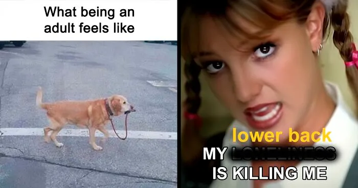 50 Painfully Funny Posts About Adulting That May Comfort You Knowing You’re Not Alone