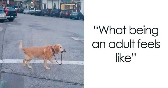 50 Painfully Funny Posts About Adulting That May Comfort You Knowing You’re Not Alone