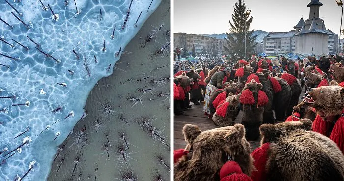 Here Are The 30 Winning Pictures Of The 2022 Nature Photographer Of The Year