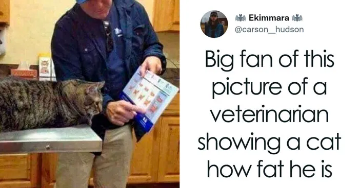 Almost 11M People Liked This Meme Page Called "Men's Humor", And Here Are 38 Of The Best Posts From It
