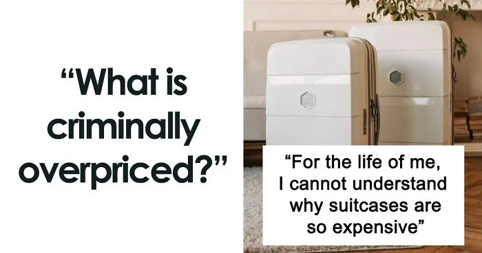 Someone Asks People "What Is Criminally Overpriced?" And Here's 35 Insightful Answers
