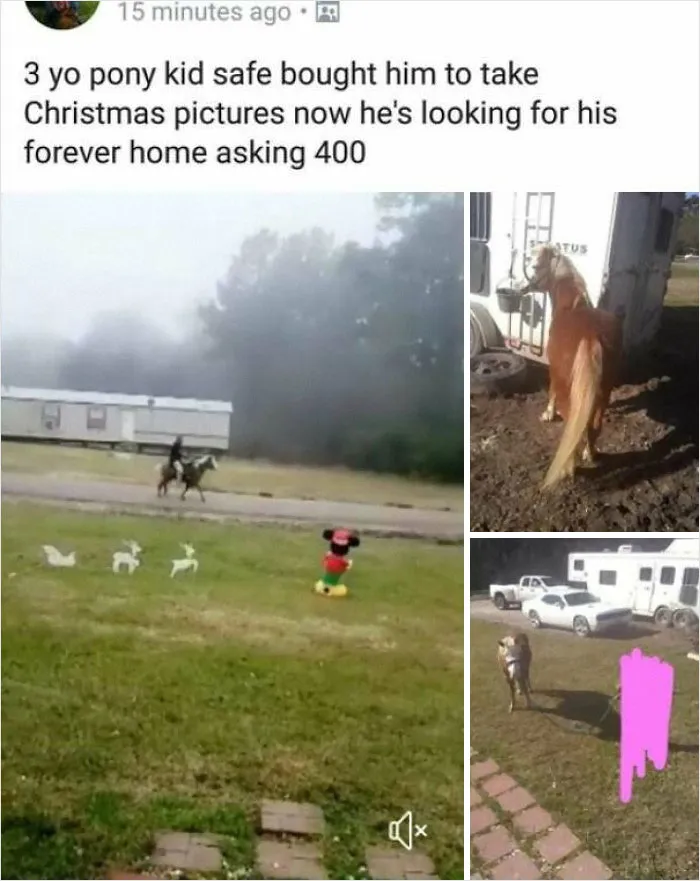 Trying To Sell A Pony Isn't Trashy, Buying A Pony For Pictures On The Other Hand Is
