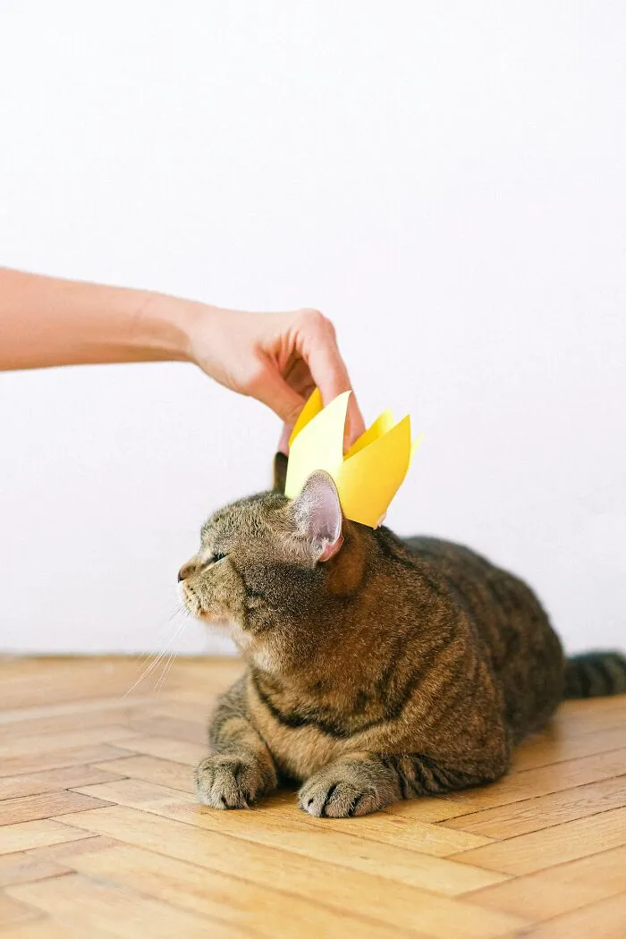 “What Screams Insecurity But Most People Don’t Realize It?” (30 Answers)