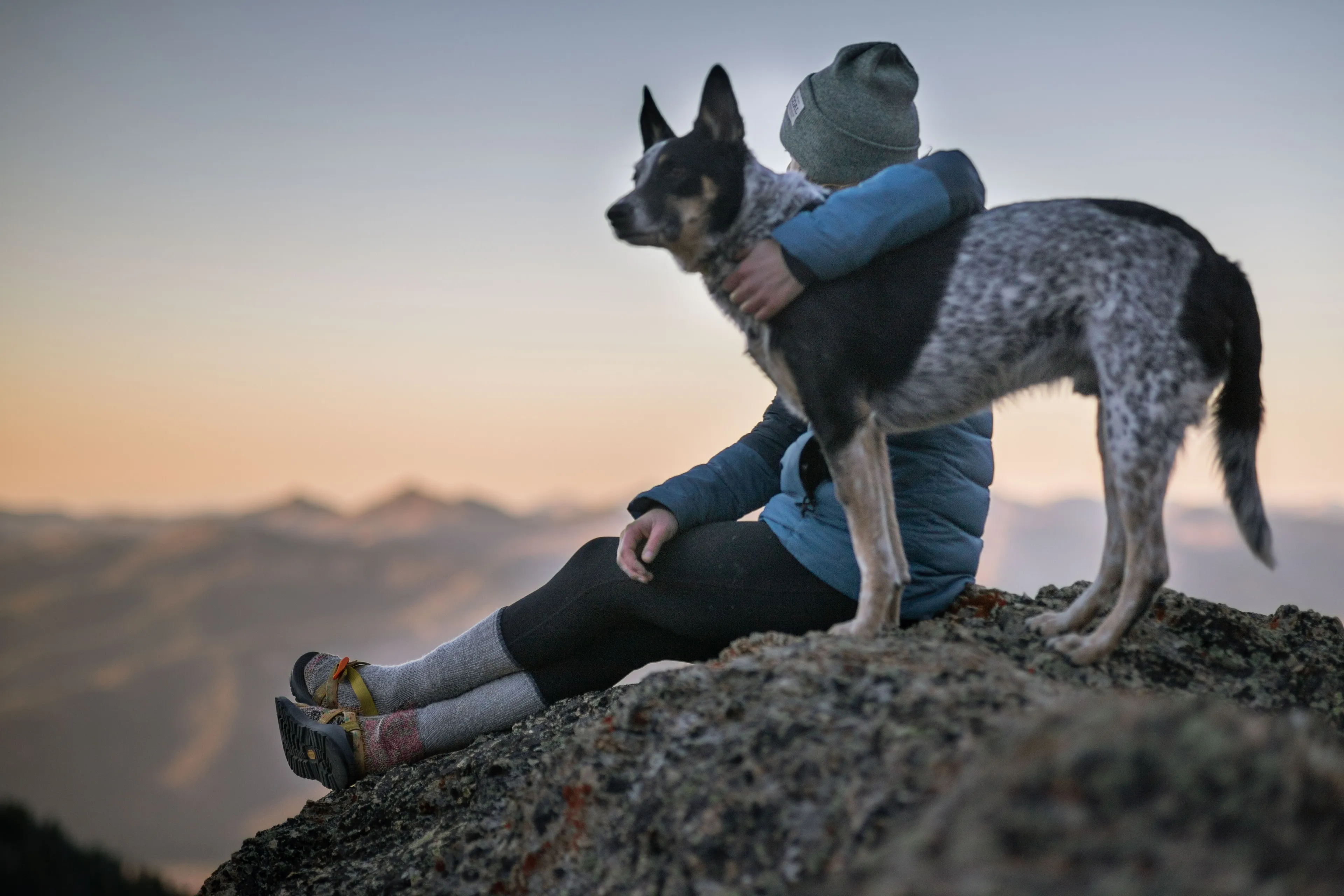 "My Dog Saved My Life"