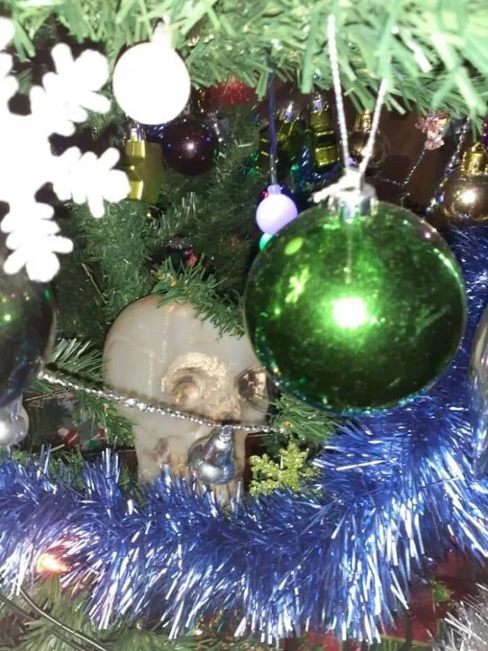 This Is Keith, The Xmas Skull. He Used To Go On Top Of The Tree But Now He Gets Tucked Into The Lower Branches Of My Mum's Tree To Scare Small Children Lol