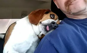 50 Soul-Healing Rescue Pet Pics To Make You Smile (November Edition)