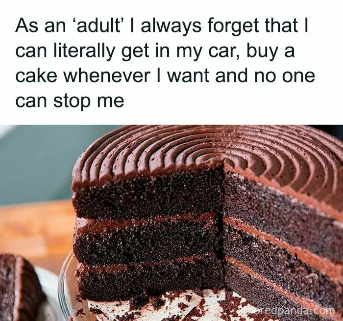 50 Funny Memes That Are So Relatable, People Labeled Them As "Selfies Of The Soul"