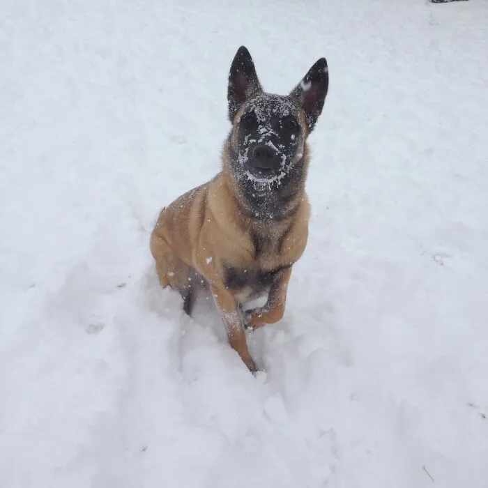She Thinks Snow Is Tasty