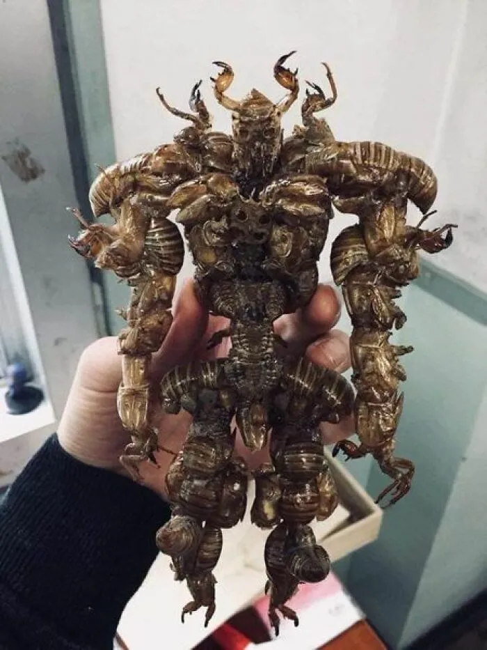 40 Times People Saw An Object With A Threatening Aura And Just Had To Share It With Others
