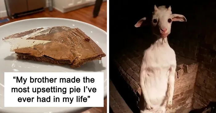 40 Times People Saw An Object With A Threatening Aura And Just Had To Share It With Others