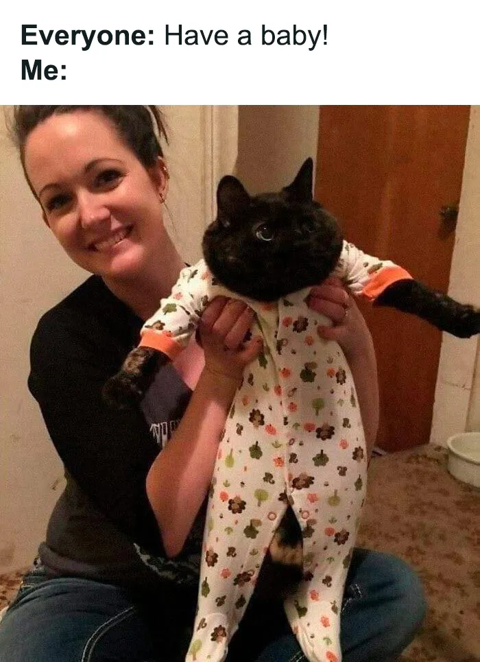 50 Memes For Those Who Have Chosen A Childfree Lifestyle, As Shared By This Facebook Page (New Posts)