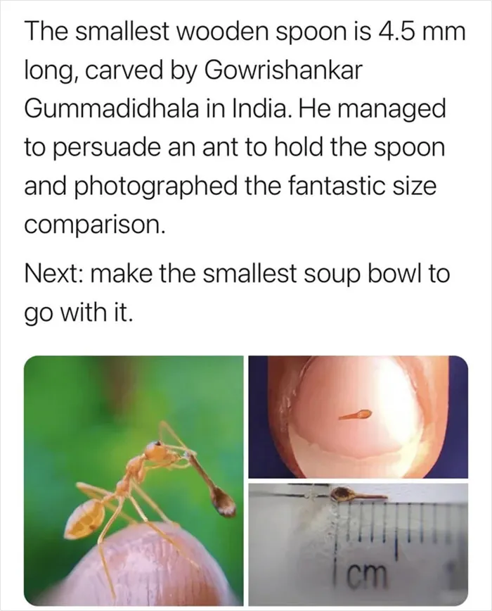 A Literal Ant Holding An Actual Ant Sized Spoon!!! (Not Oc, Someone Else’s Tweet But I Had To Share) Hot!
