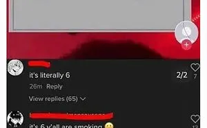35 Unbelievable Posts On The ‘Wild TikTok Screenshots’ Twitter Page To Make You Question Everything (New Pics)