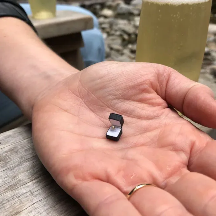 My Sisters Boyfriend Knows She Likes Miniatures And Proposed To Her With A Tiny Ring (He Got Her A Real Ring, Of Course)