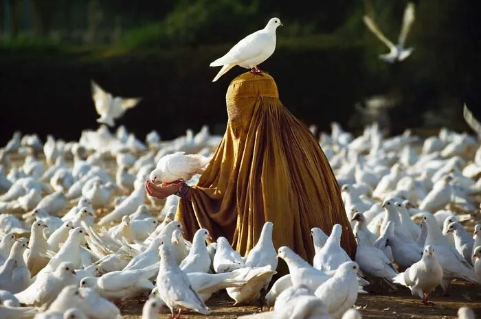 30 Excelentes fotografías tomadas en la calle o en lugares públicos compartidas online