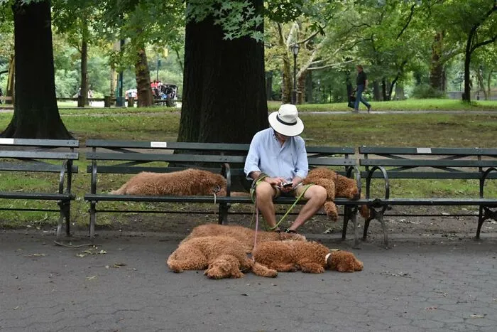 Spotted In Central Park