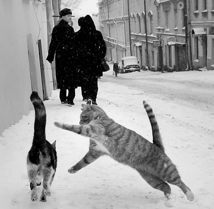 Instagram Account Shares Beautiful Photos Taken On The Street Or In Public Places (30 New Pics)