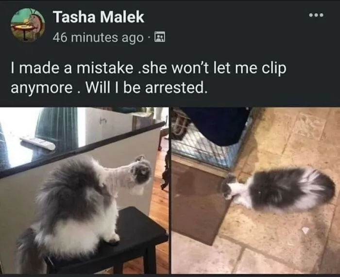 40 Times People Saw Something That Made Them Go 'Hmmm' And They Just Had To Share It Online