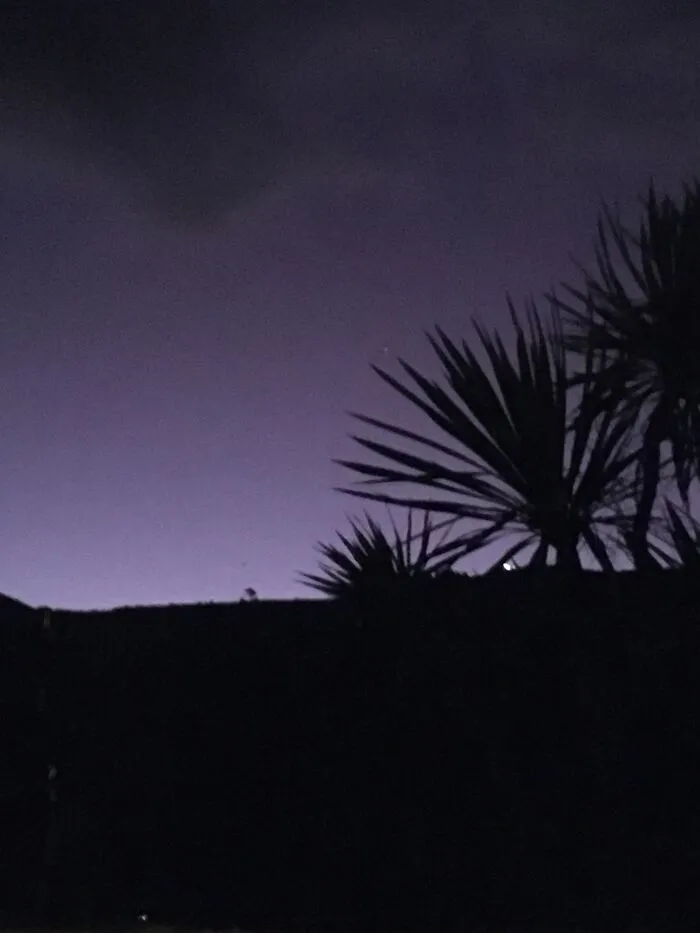 I Feel, The Lavender Haze Creeping Up On Me…