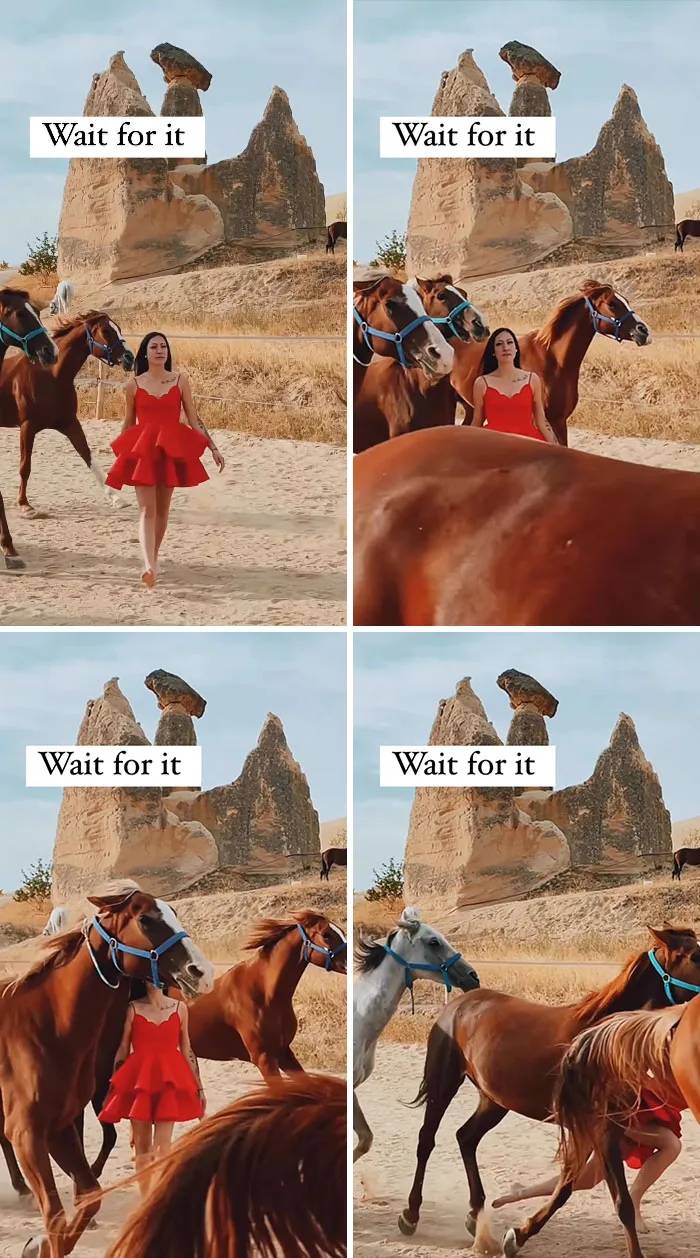 💃🏻got 🐎