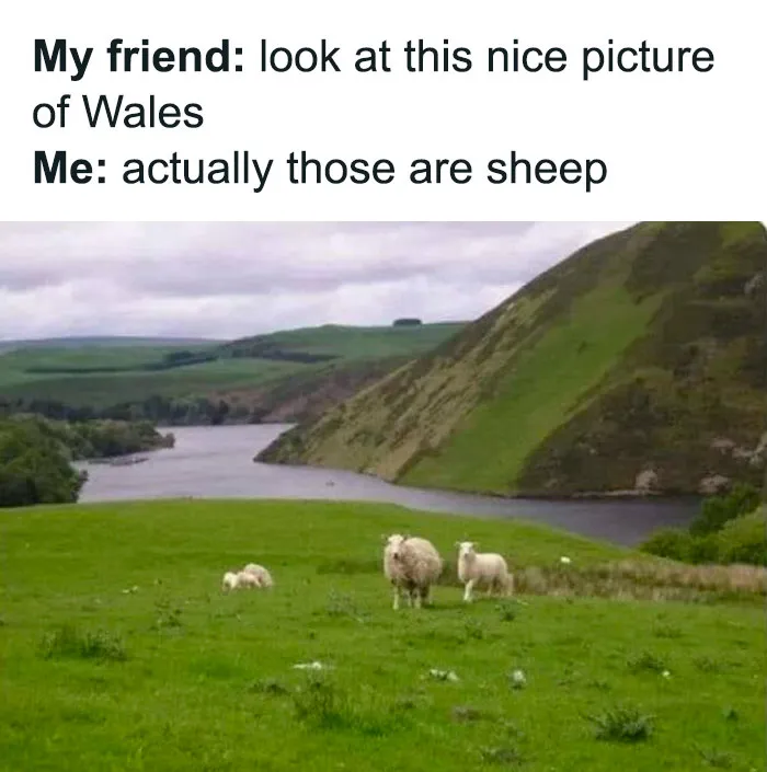 Bah!