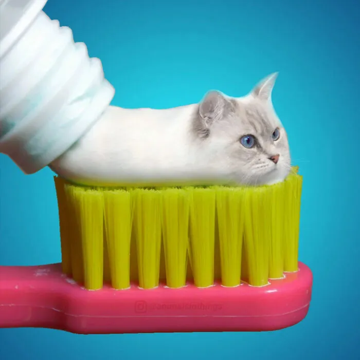 A Photoshop Artist Uses His Imagination To Insert Animals Where You Wouldn't Expect Them To Be ( 18 Pics)