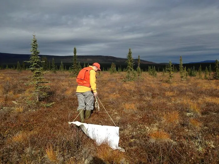 Population Ecologist