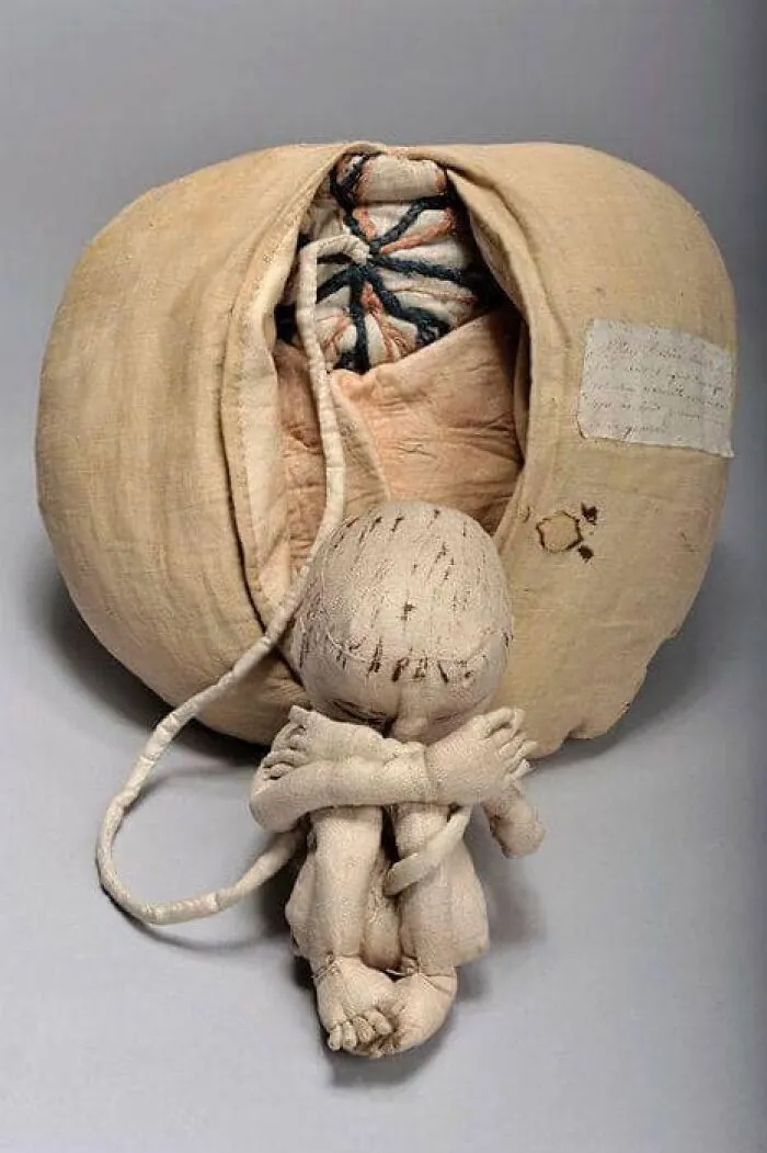 Este maniquí fue diseñado por Angelique Marguerite Le Boursier Du Coudray en el siglo XVIII. Se utilizaba para enseñar obstetricia