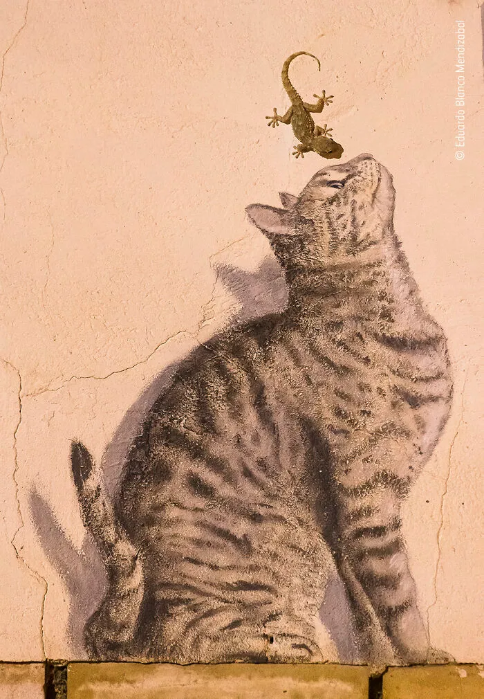 "Life And Art" By Eduardo Blanco Mendizabal
