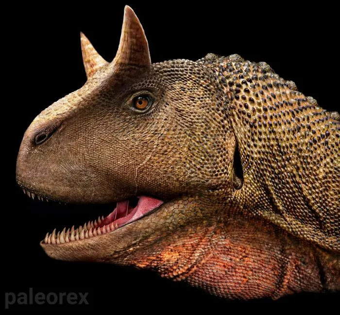 Carnotaurus