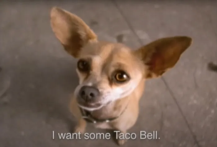Taco Bell's Chihuahua Mascot