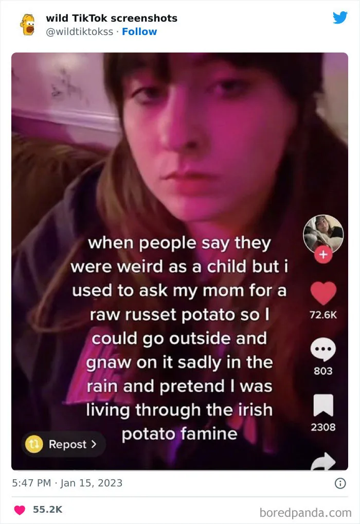 35 Unbelievable Posts On The ‘Wild TikTok Screenshots’ Twitter Page To Make You Question Everything (New Pics)