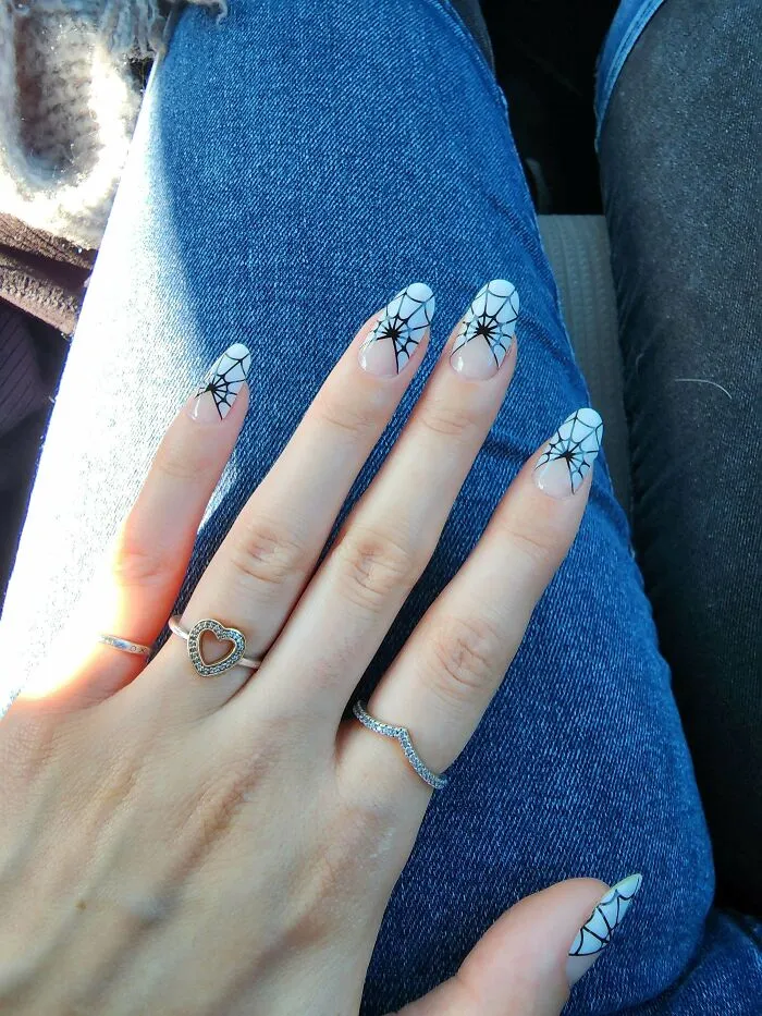 Spider's Web