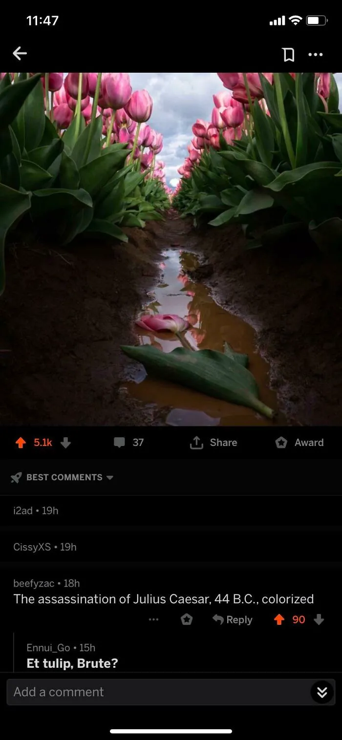 Overratedn't