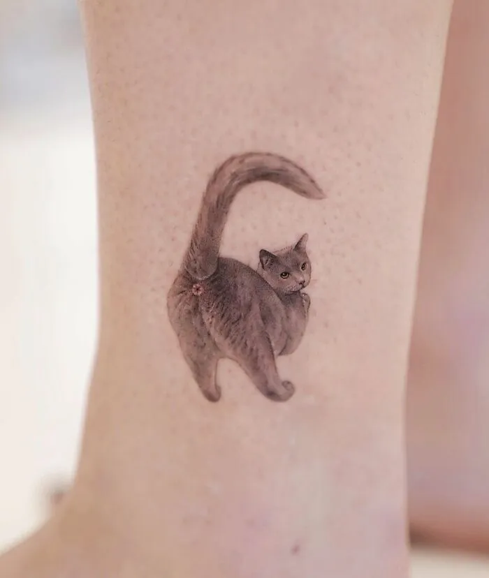 Such A Good Tattoo Of A Cat Butthole