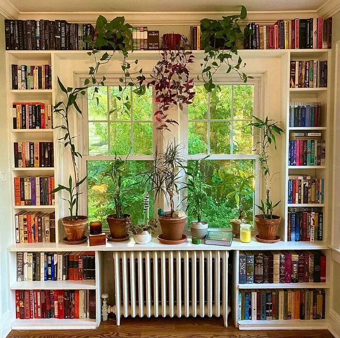 Needs Some Rearranging But This Fills Me With Happiness!