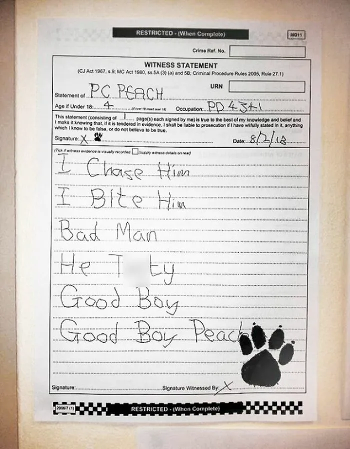 This Is What Happens When State Prosecutors Who Haven't Done Any Research Demand A Testimony From A K9 Officer