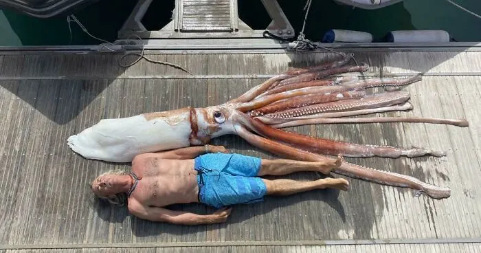 This Squid