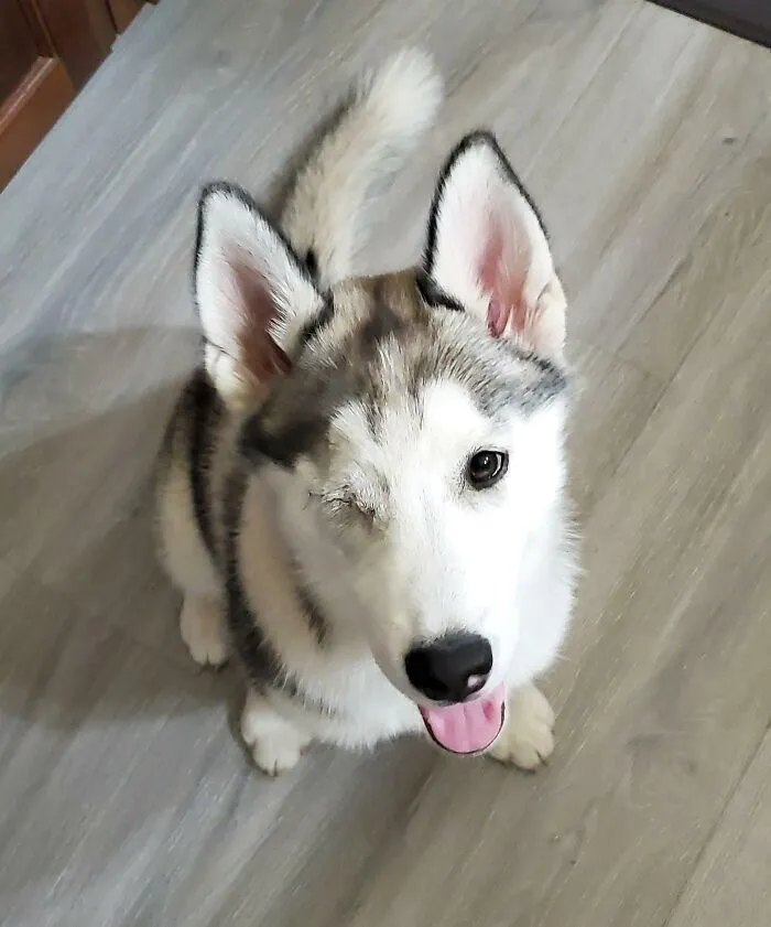 World, Say Hello To "Winks"