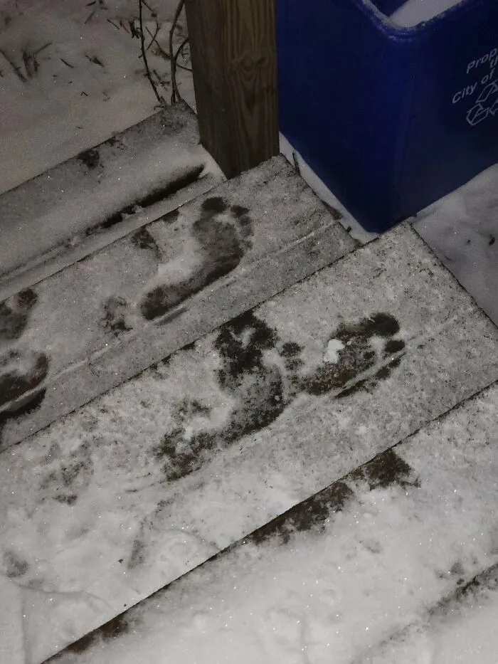 Estaba sacando la basura esta mañana y encontré huellas de pies desnudos