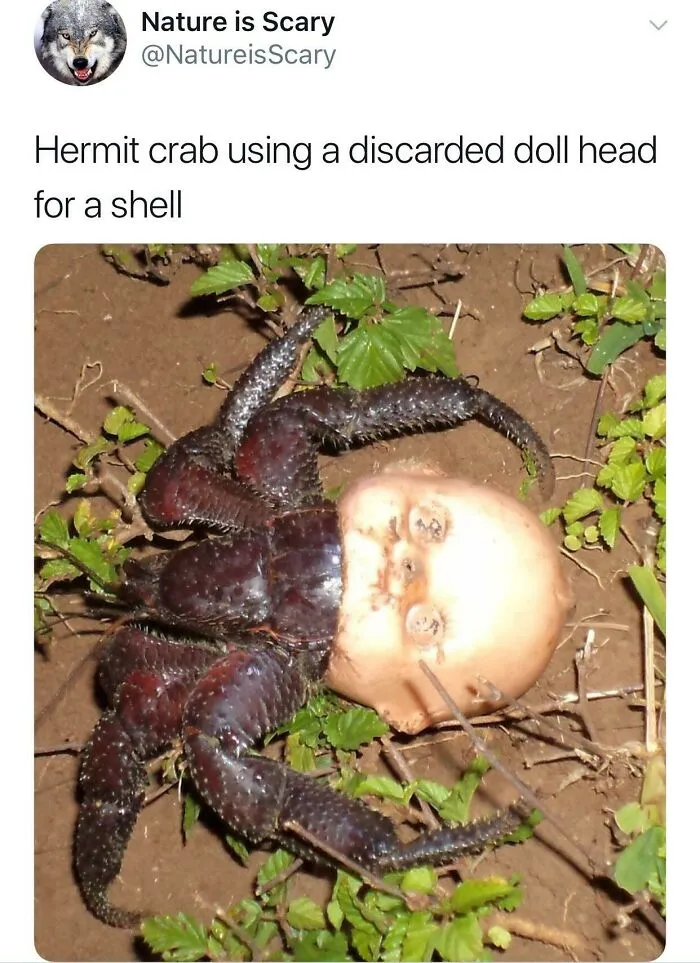 This Will Haunt My Dreams