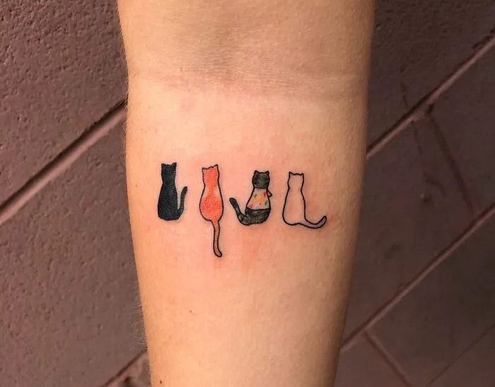Cats Tattoo