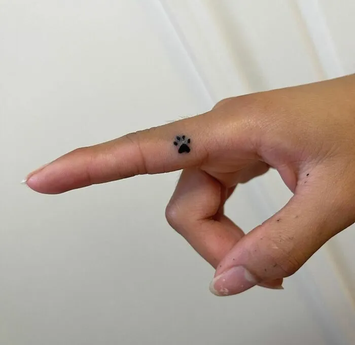 A minimalist tattoo of a small paw print on a finger, showcasing simple and aesthetically pleasing design.