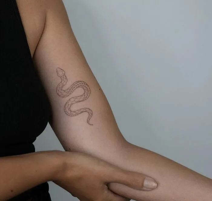 Minimalist tattoo of a snake on a person's arm, showcasing clean and elegant design elements.