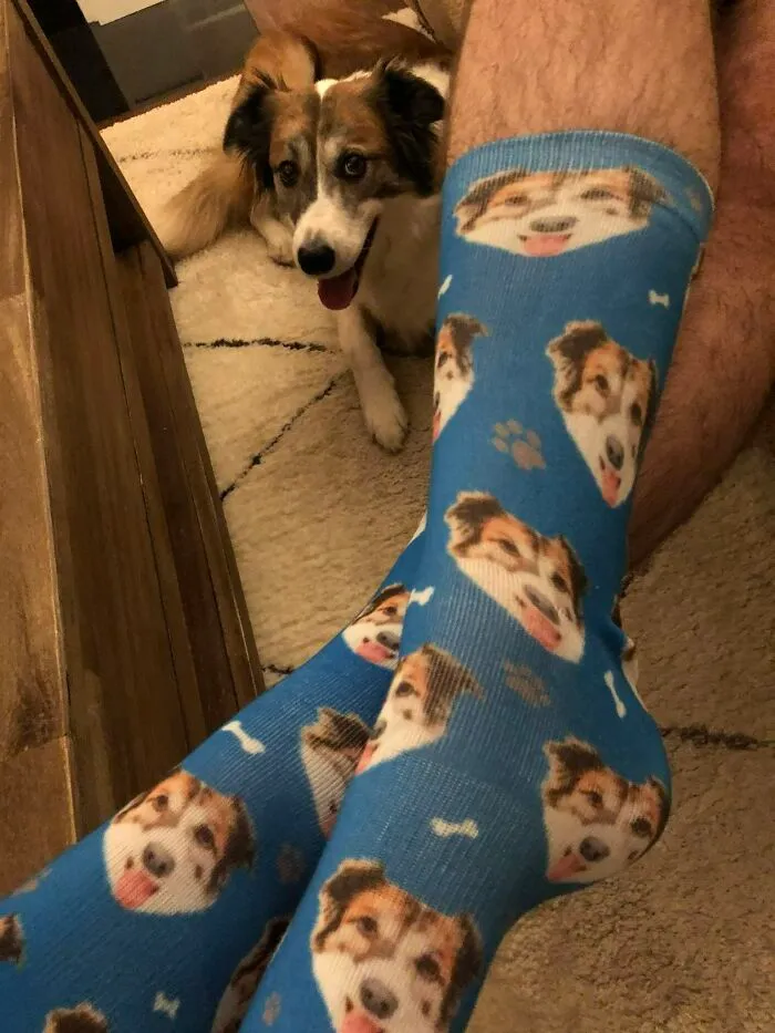Cuando tu esposa ama más al perro que a ti, este es tu regalo de San Valentín